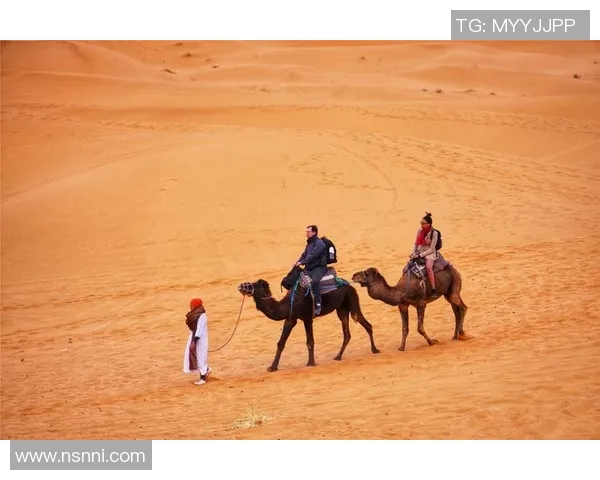 大漠足球的传奇之路：在沙漠中追逐梦想与荣耀的故事