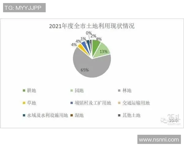 成都网球队实力深度解析与对比分析