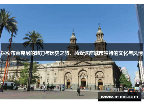 探索布莱克尼的魅力与历史之旅，感受这座城市独特的文化与风情