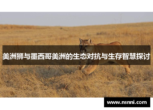 美洲狮与墨西哥美洲的生态对抗与生存智慧探讨