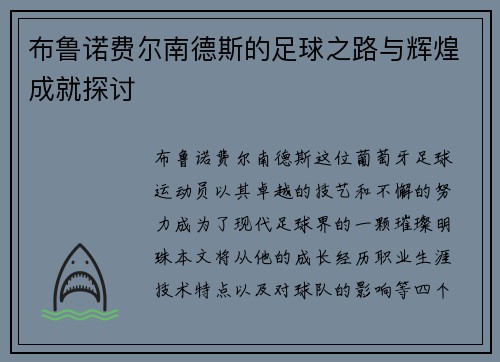 布鲁诺费尔南德斯的足球之路与辉煌成就探讨